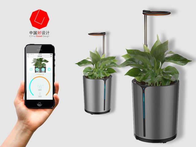 1508406535119889.jpg 5.jpg